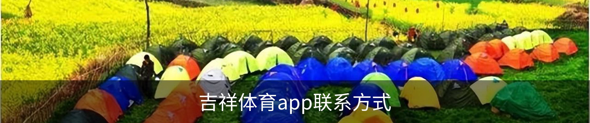 吉祥体育app联系方式